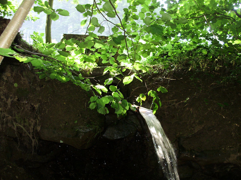 studánka Pstruží (3414) - červen 2010