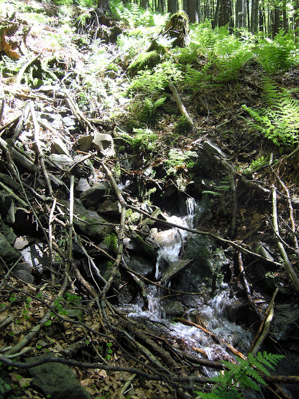 prameniště bez jména (3418) - červen 2010