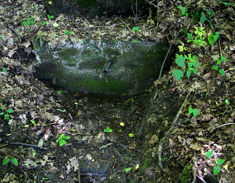 studánka V Rudolfovém lesíku (3421) - datum neznámé