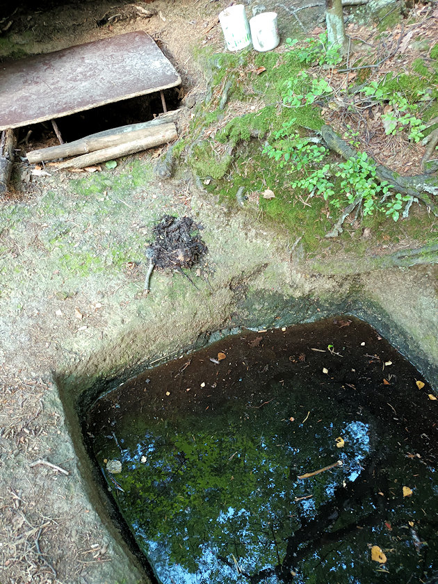 Skalní studánka (3427) - srpen 2022