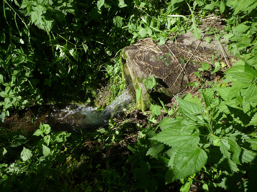 studánka Hraštická studna (3431) - červen 2010