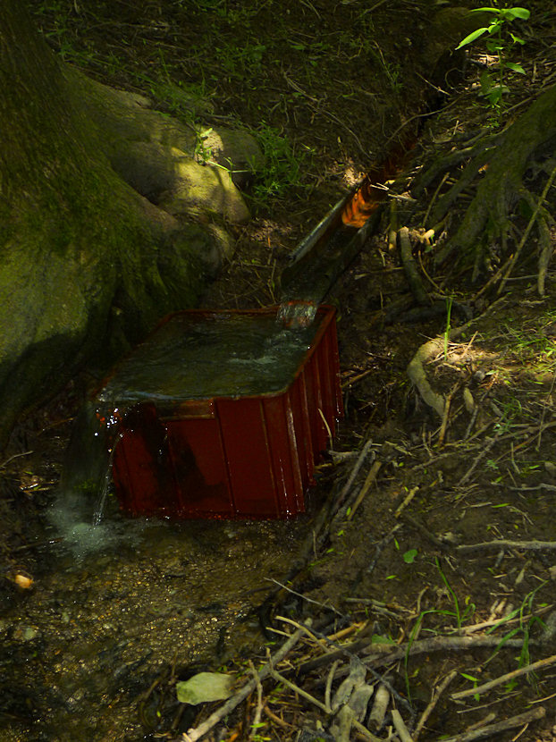 studánka Ve skalkách (3432) - červen 2010
