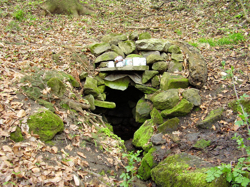 studánka Pod Hradem (3441) - červen 2010