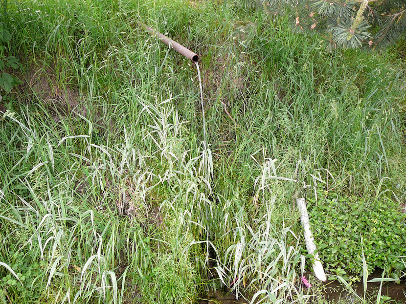 jiný vodní zdroj bez jména (3452) - červen 2010