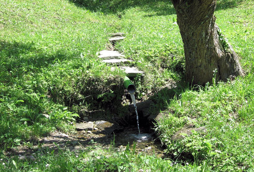 studánka Pod vlekem (3462) - červen 2010