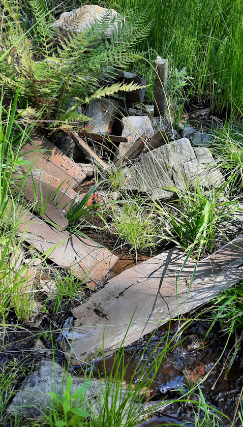 studánka Nad Kejnou roklí 2 (3477) - srpen 2022