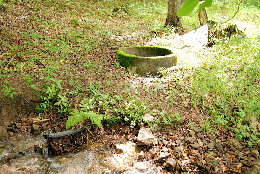 studánka bez jména (3479) - červen 2010