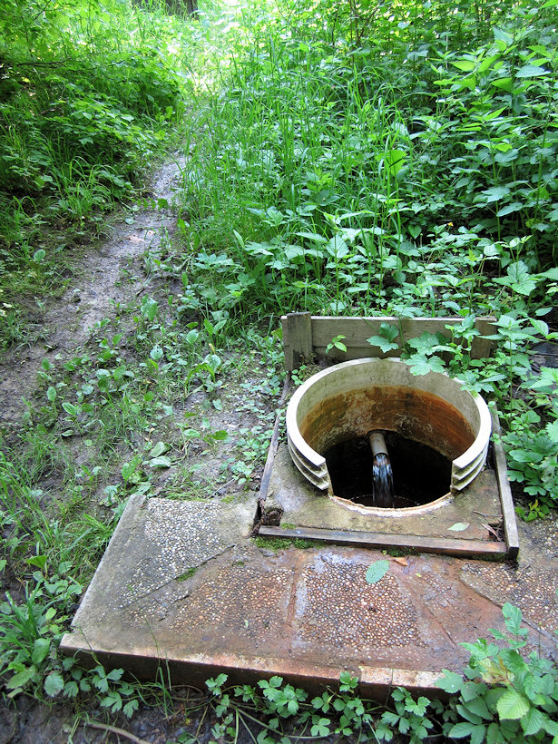 vrt Opatovická kyselka (3491) - červen 2010