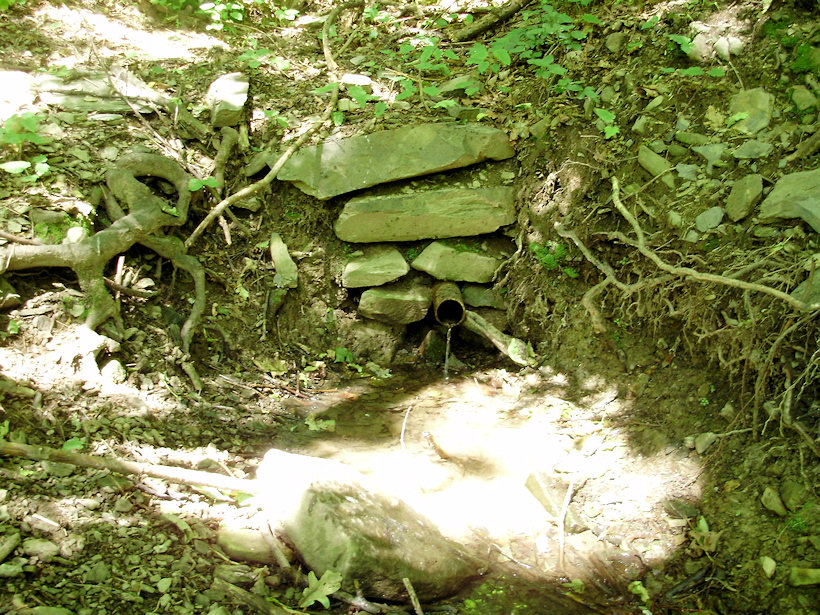 studánka bez jména (3509) - červen 2010