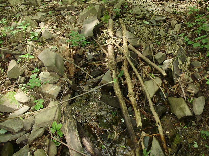 pramen Nový Svět (3511) - červen 2010