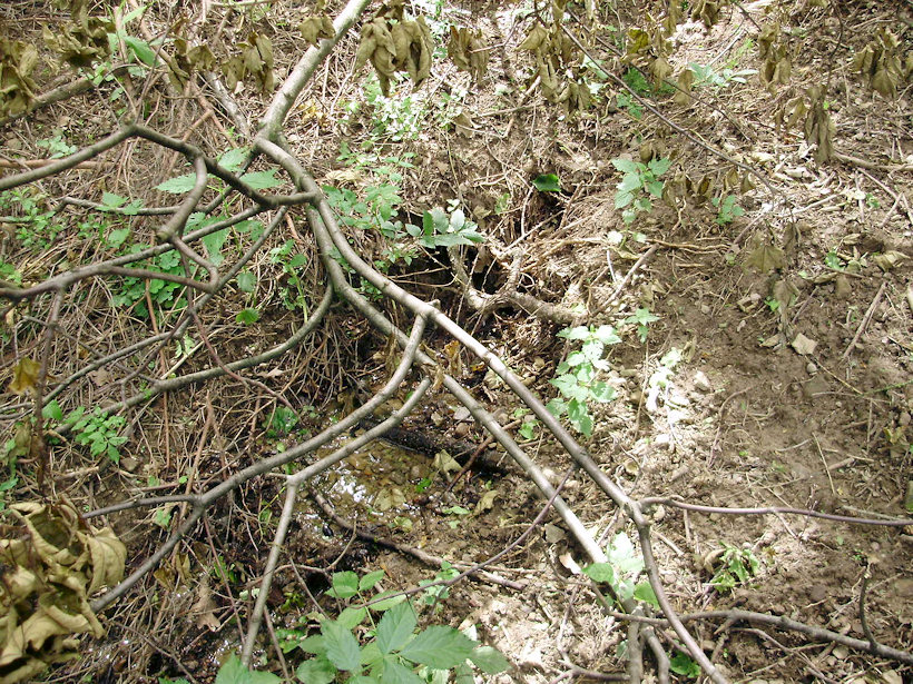 pramen U cesty (3513) - červen 2010