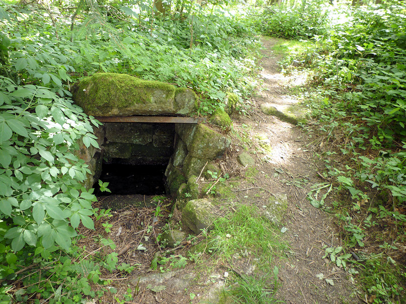 studánka Kořenářka (3516) - červen 2010