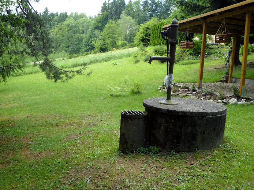 studánka Na dolní cestě (3517) - červen 2010