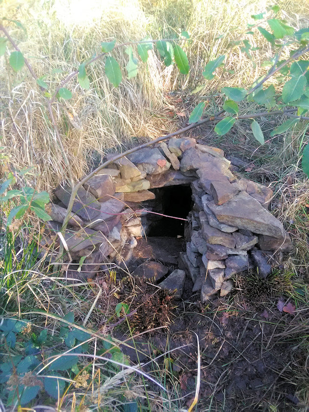 studánka V Hlubokym (3532) - listopad 2022