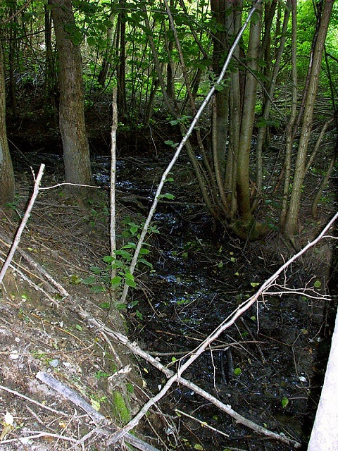 prameniště bez jména (3535) - červen 2010