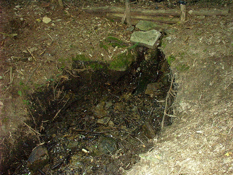 prameniště bez jména (3538) - červen 2010