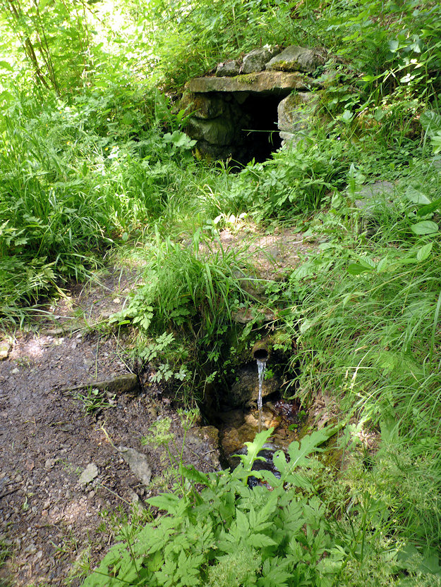 studánka Pod Kulhavovým kopcem (3543) - červen 2010