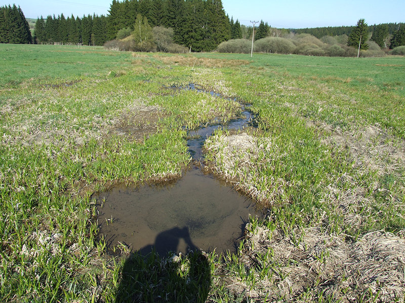 Závišínský pramen (3545) - červenec 2010