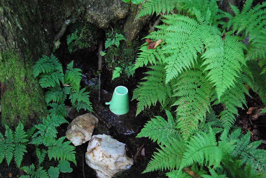 studánka Pod suťoviskem (3546) - červenec 2010