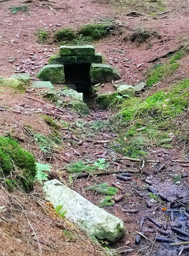 studánka Pramen Kamenice (3551) - červenec 2010
