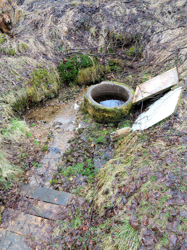 studánka U Divocha (3583) - duben 2022