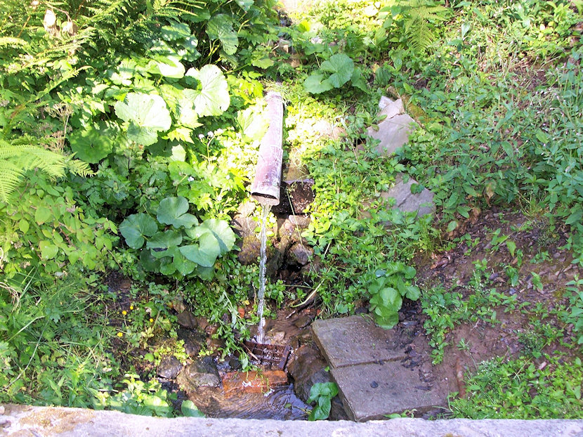Studánka Kamenný most (3591) - červenec 2010