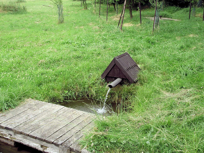 studánka V sadu (3595) - červenec 2010