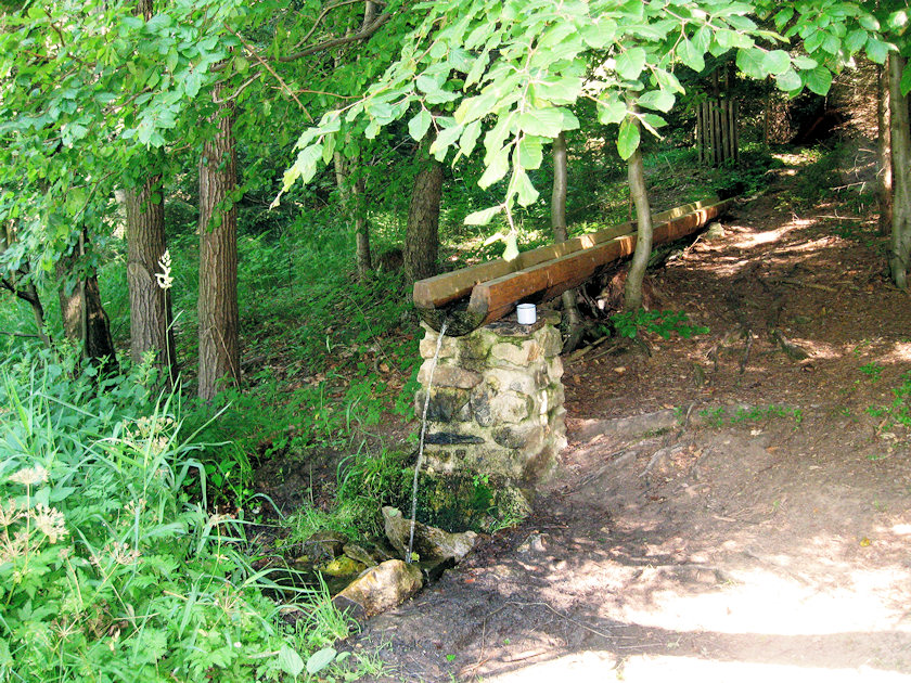 Studánka Na Hřebeni (3614) - červenec 2010