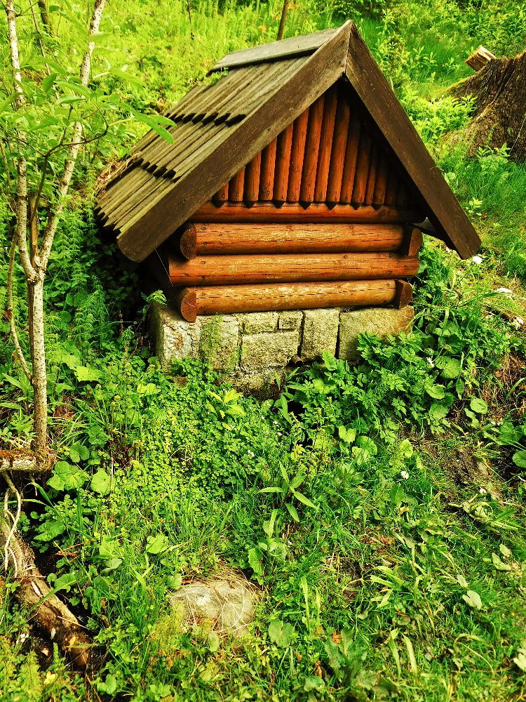 pramen Lesní studánka (3624) - květen 2024