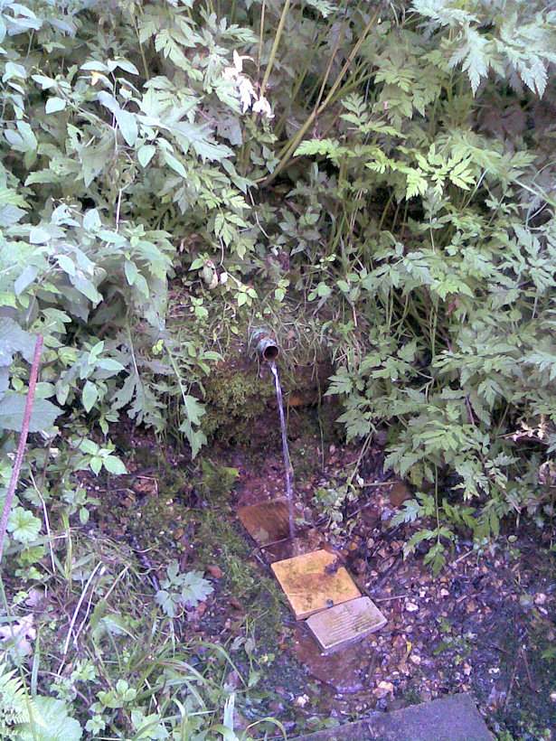 studánka U chatek (3631) - červenec 2010