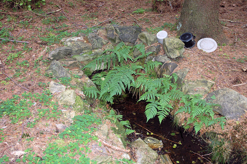 studánka Lesní pramen (3640) - červenec 2010