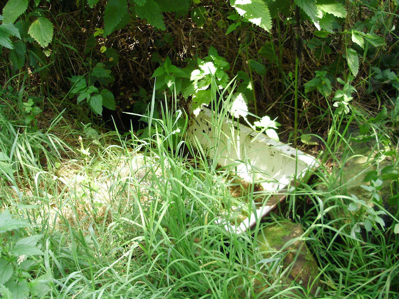 studánka Vanová (3656) - červenec 2010