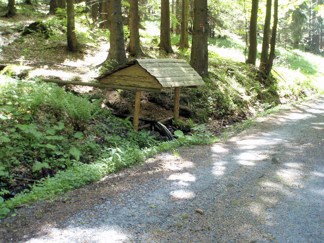 studánka bez jména (3665) - červenec 2010