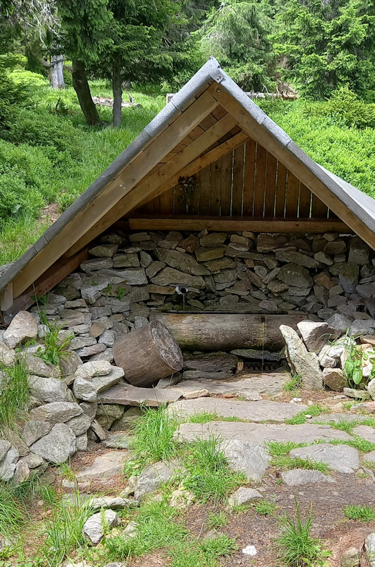 studánka Franciska (3669) - červen 2022