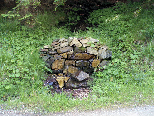 studánka Srnčí stráň (3671) - červenec 2010