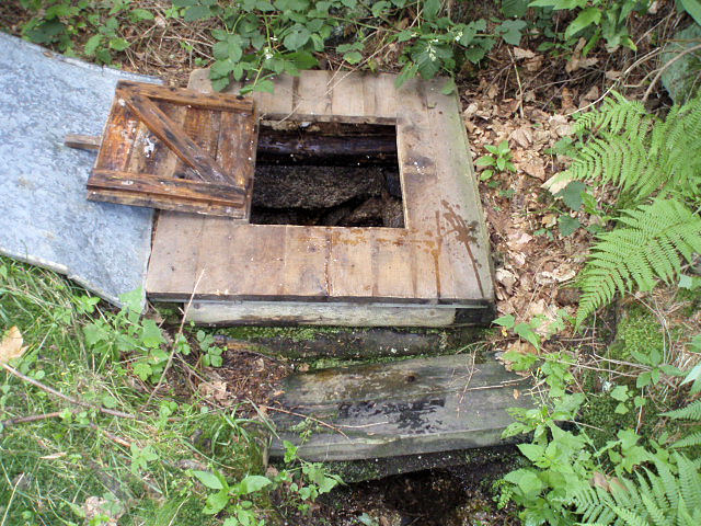 studánka Na Papírně (3675) - červenec 2010