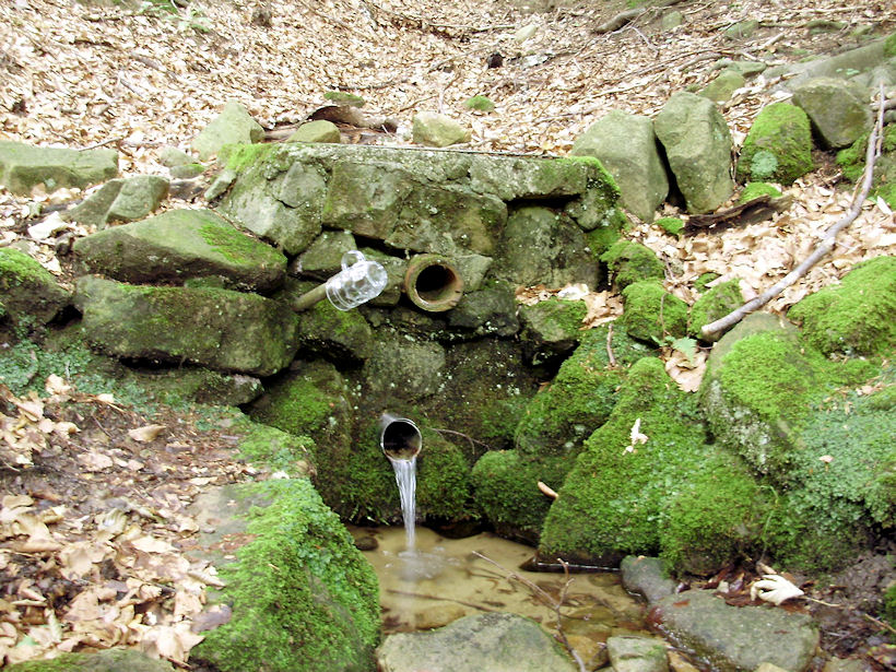 pramen Perníkářská (3682) - červenec 2010