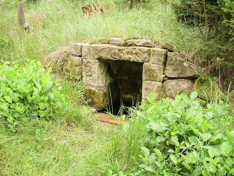 studánka Kamenářova (3684) - červenec 2010