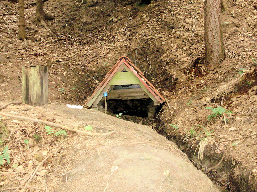 studánka Pod Ondřejovskem (3685) - červenec 2010