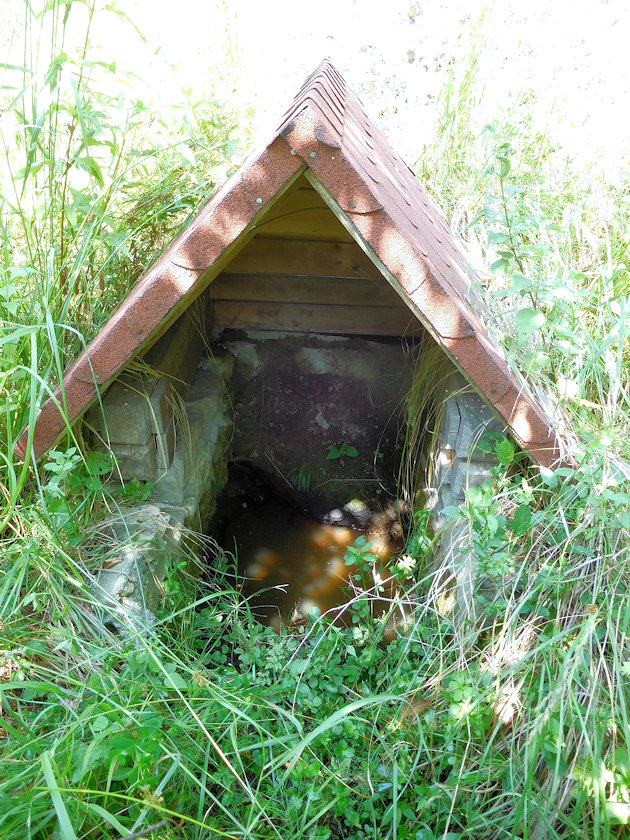 studánka Marchalena (3687) - červenec 2022