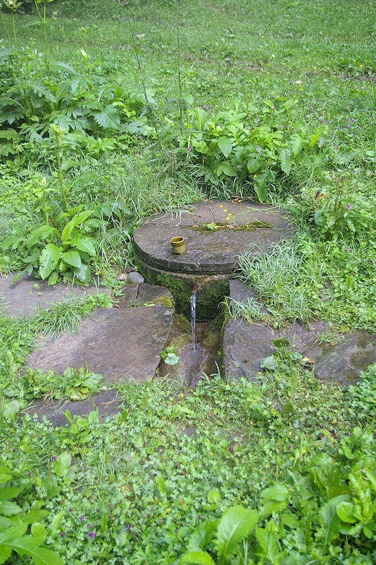 studánka Na Holém vrchu (3700) - srpen 2010
