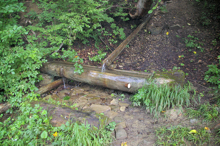 studánka Pod Holým vrchem (3701) - srpen 2010