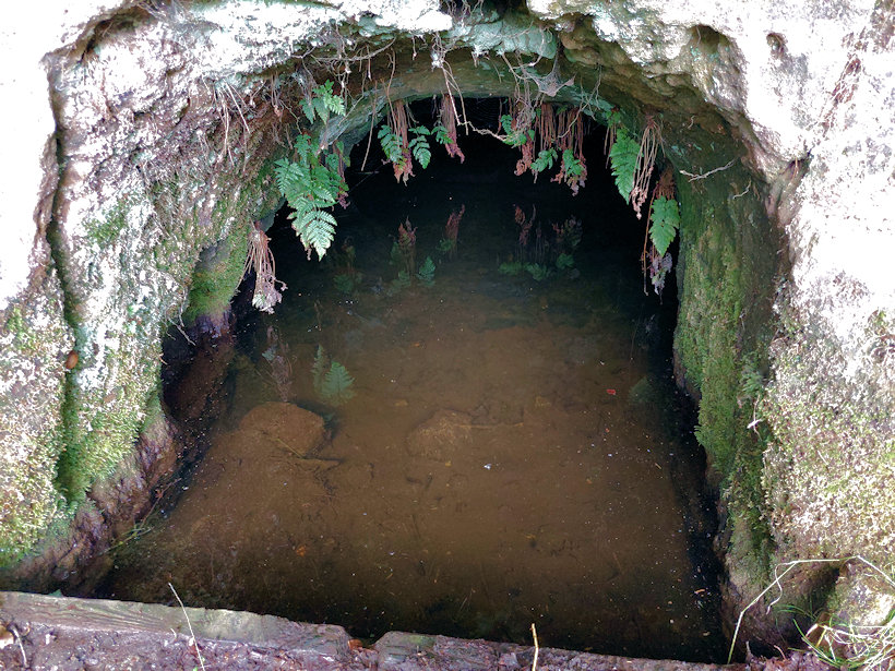 Studánka pod Bílou skálou (3709) - červenec 2022