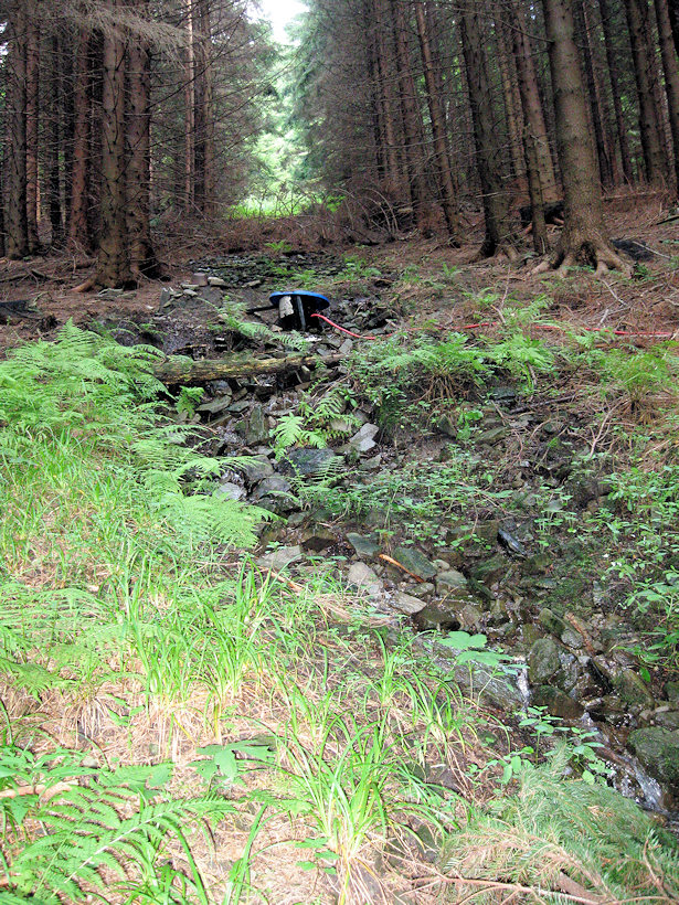 prameniště Psárky (3720) - srpen 2010