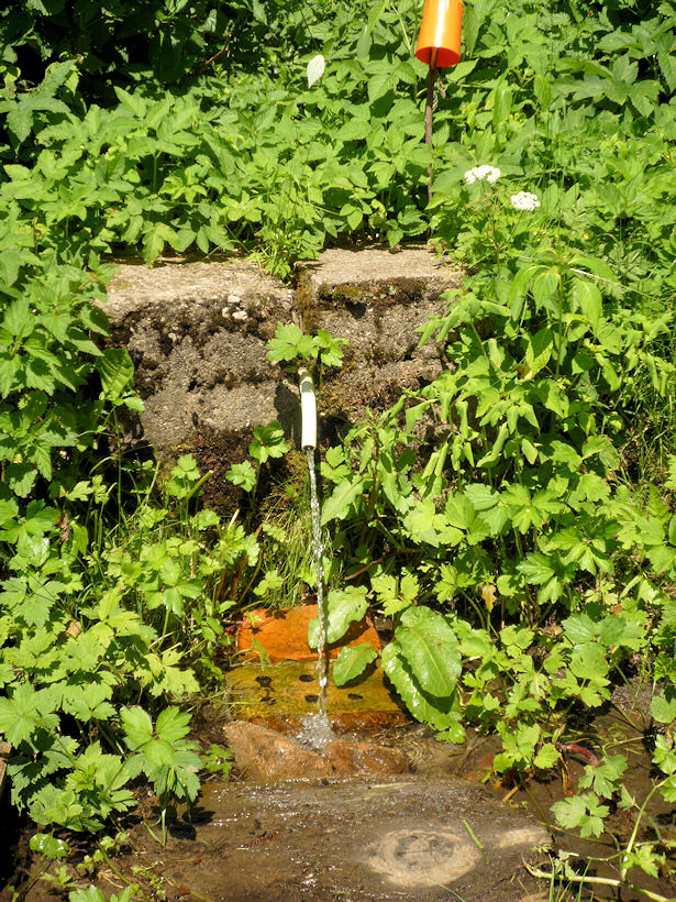 studánka U lovecké chaty (3726) - srpen 2010