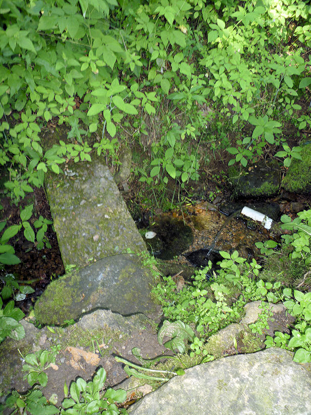 studánka bez jména (3727) - srpen 2010