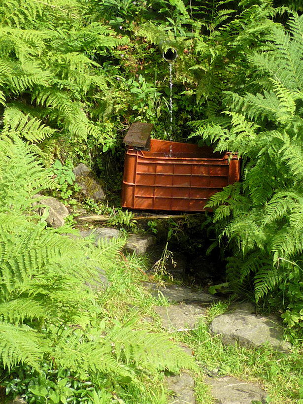 studánka Kačerovská (3730) - srpen 2010