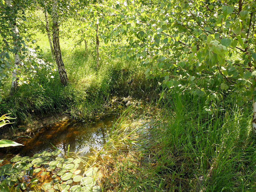 studánka Leknínová (3738) - srpen 2010