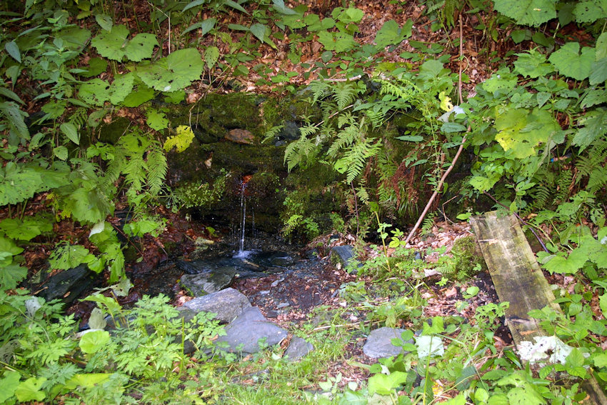 studánka Mariin pramen (3774) - srpen 2010