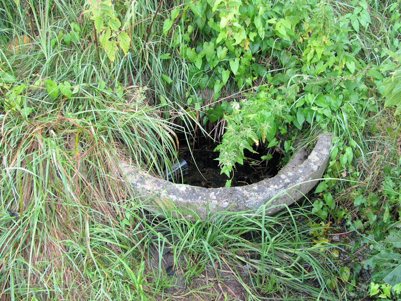 studánka V Zahrádkách (3777) - srpen 2010
